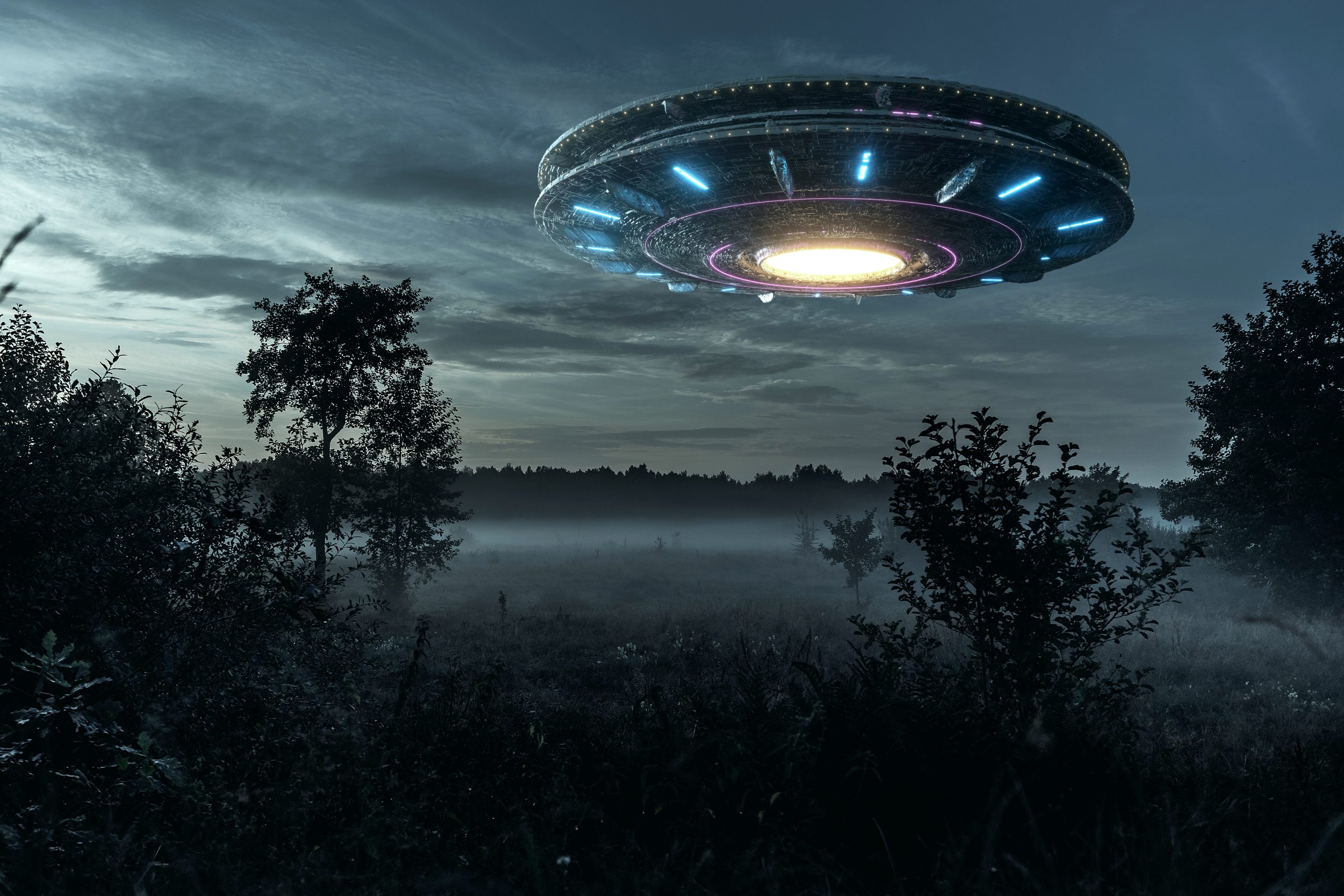 UFOs hovers over foggy field