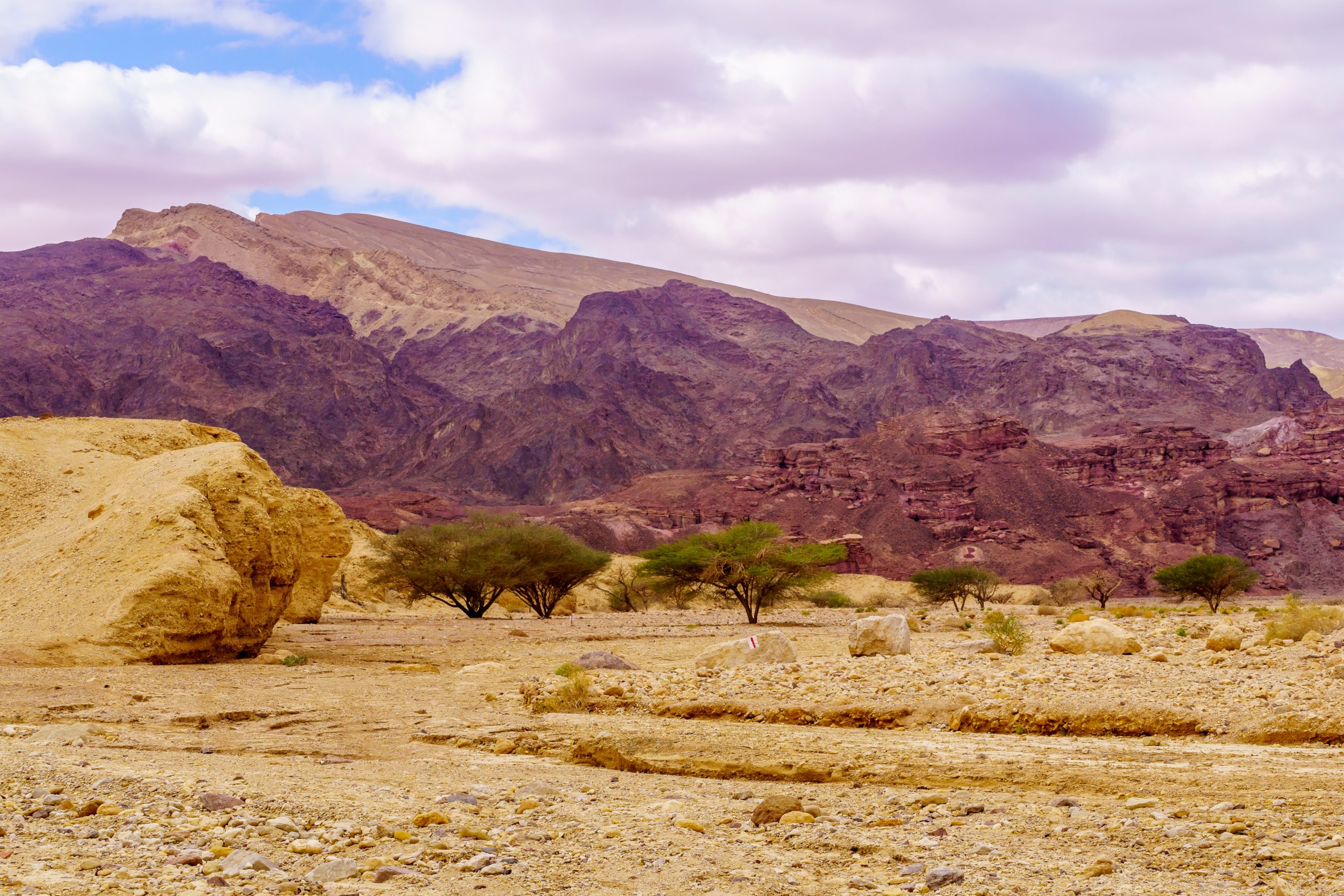 Winter view of desert landscape in southern Israel