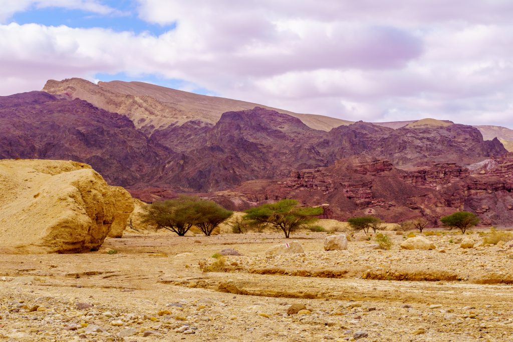 Israel landscape, the land of the Israelites.